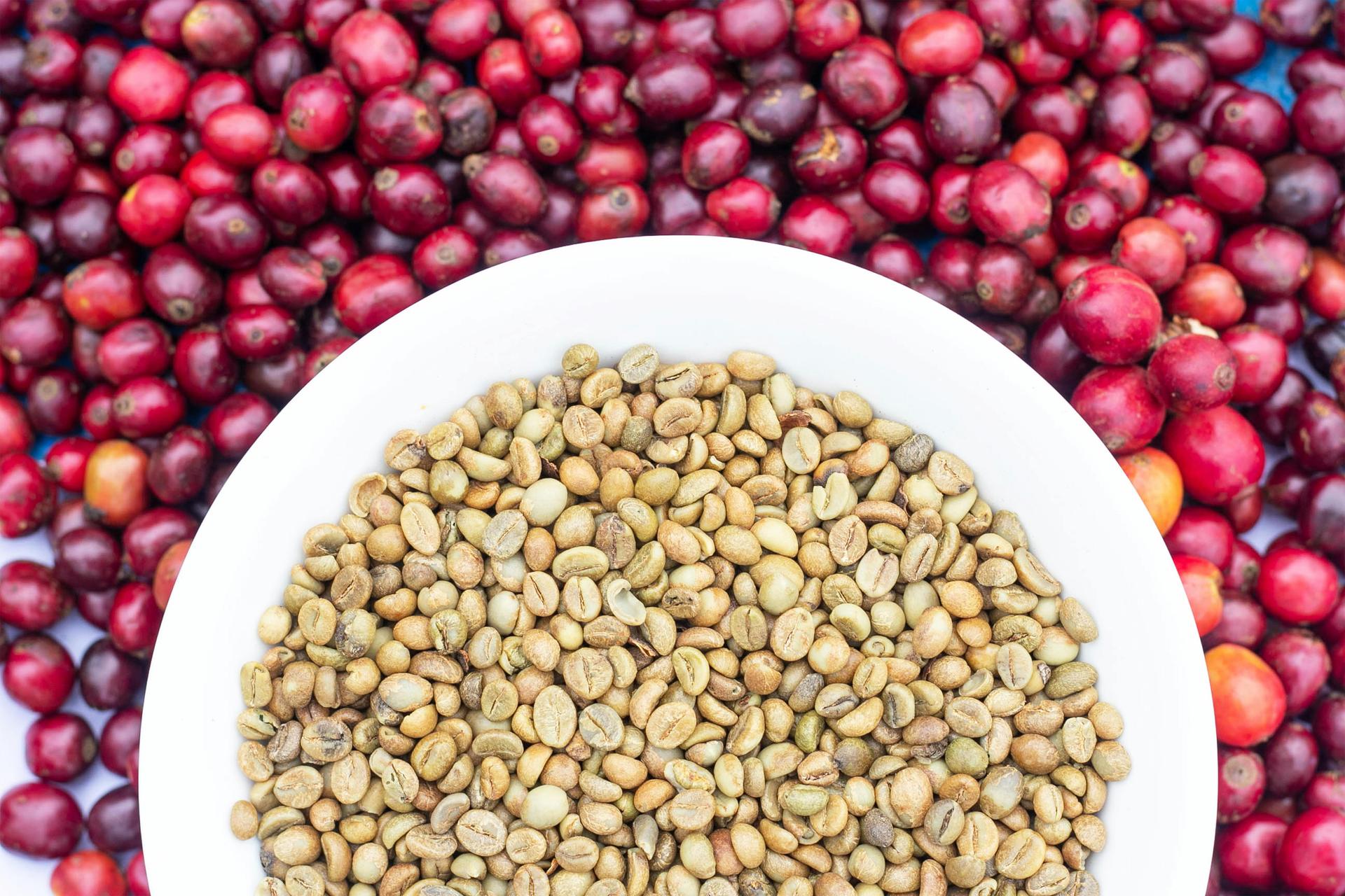 The Ewaffe Coffee Experience
